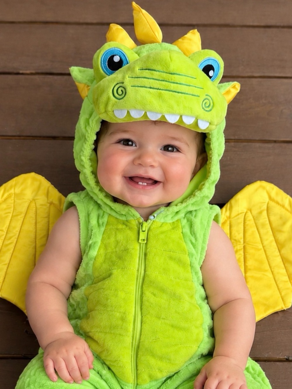 F.A.O. Schwarz GreenDragon Baby Costume - Cute Plush Hooded 12 months